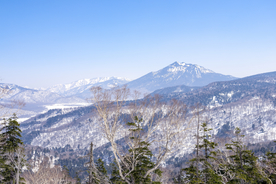山
