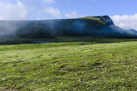 山