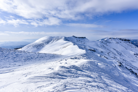 山