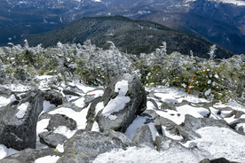 山