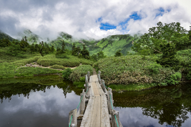 山