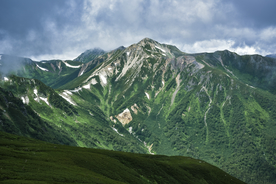 山