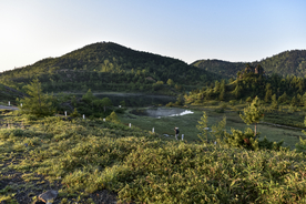山