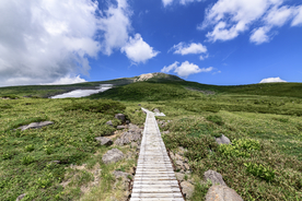 山