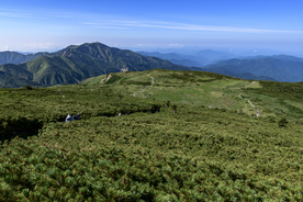 山