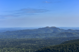 山