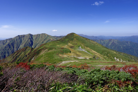 山