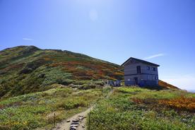 山