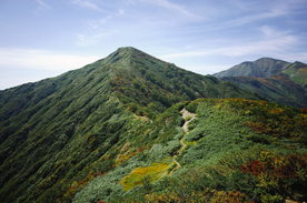 山