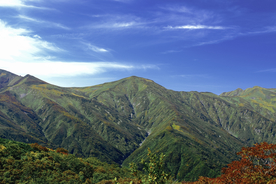 山