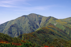 山