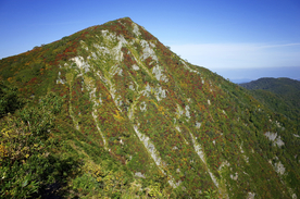 山