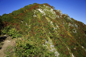 山