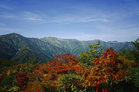山