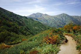 山