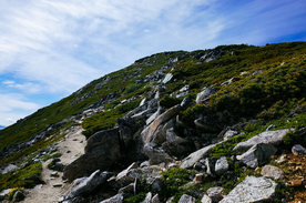 山