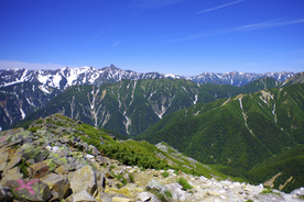 山