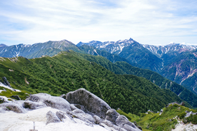 山