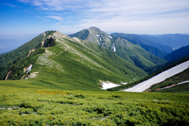 山