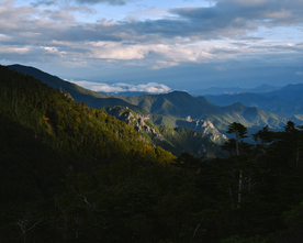 山