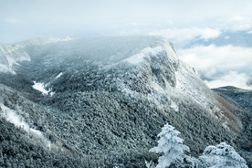 山