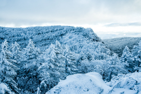 山