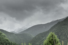 山