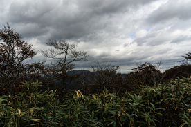 山