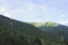 山