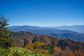 山