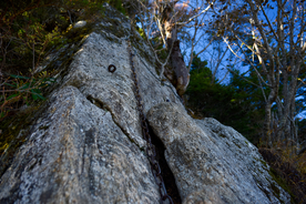 山