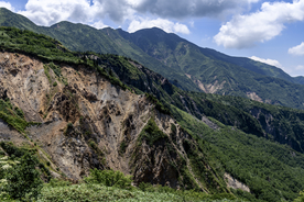 山