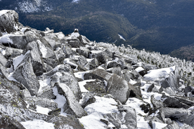 山