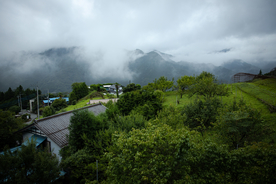 山