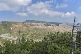 山