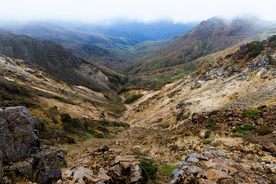 山