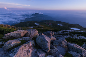 山