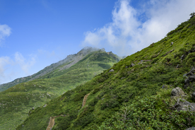 山