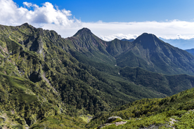 山