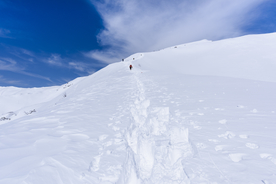 山