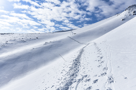 山