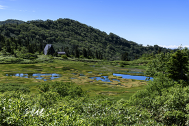山