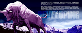 公司文化