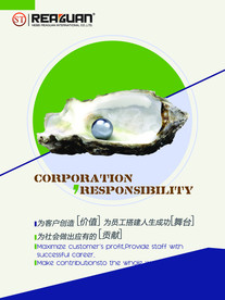 公司文化