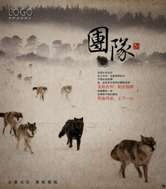 公司文化