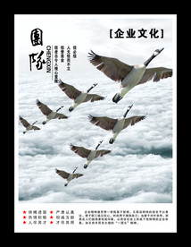公司文化