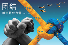 公司文化