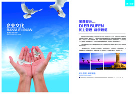 公司文化
