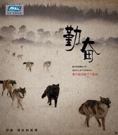 公司文化