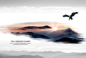 公司文化